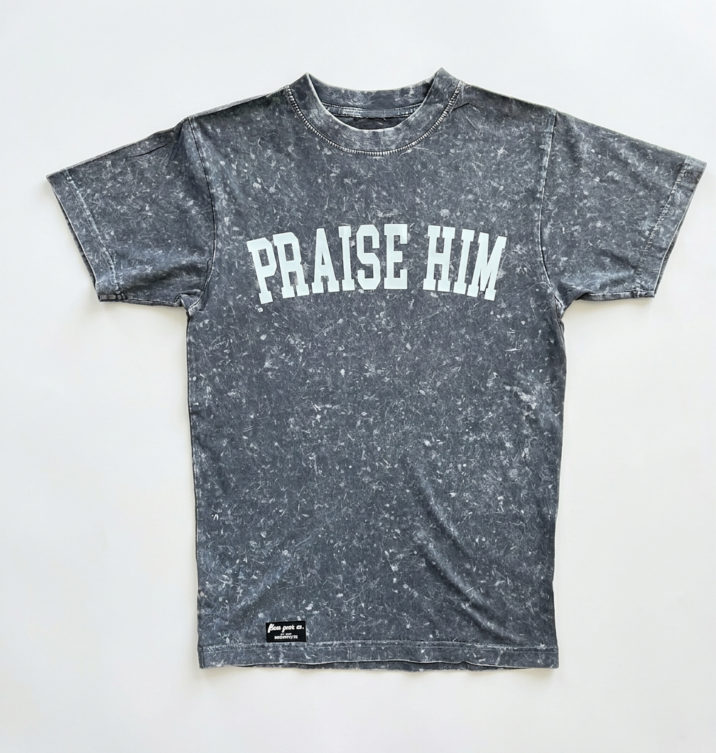 PRAISE HIM TEE(mineral wash)